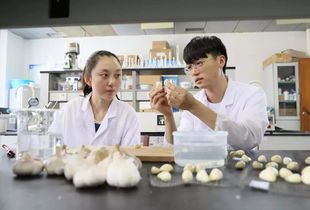 扎心了,老鐵 最容易被人誤解的這些專業,你知道嗎